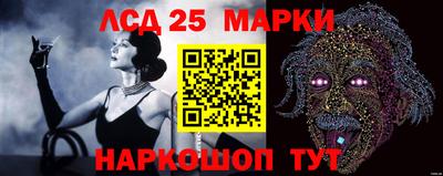 apvp Тулун